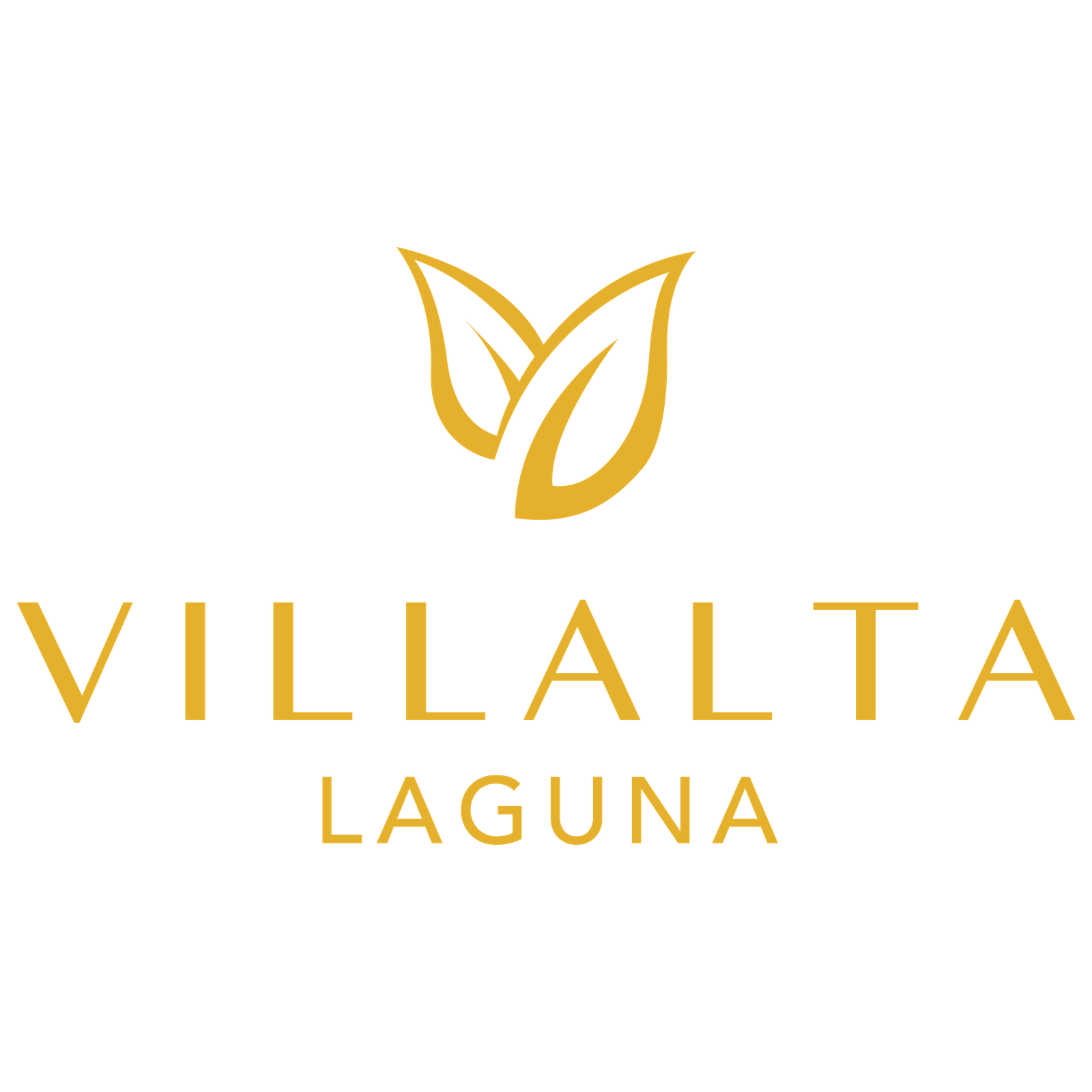 logo main